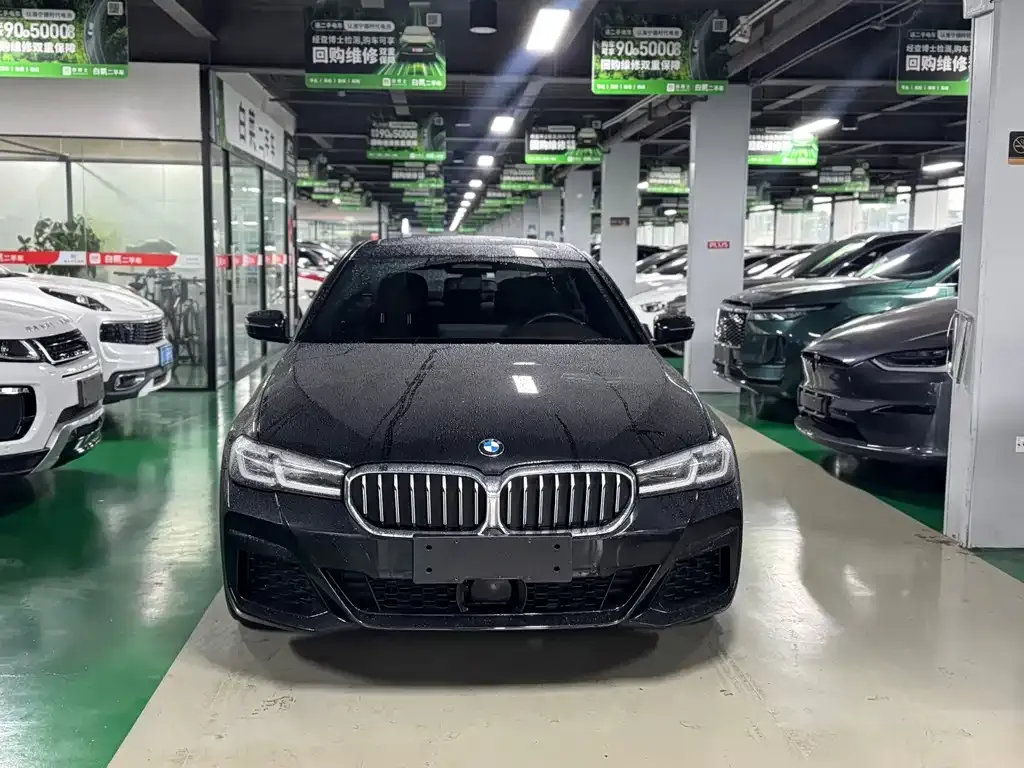 BMW 5 Series New Energy — фото 5