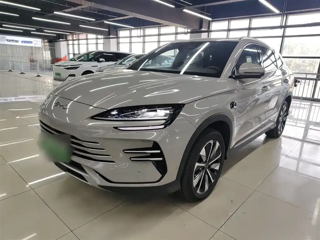 BYD PLUS New Energy — фото 10