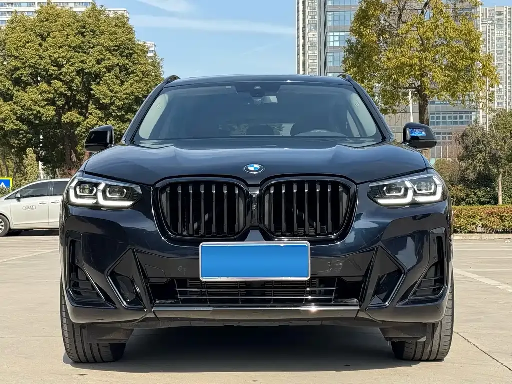 BMW X3 — фото 1
