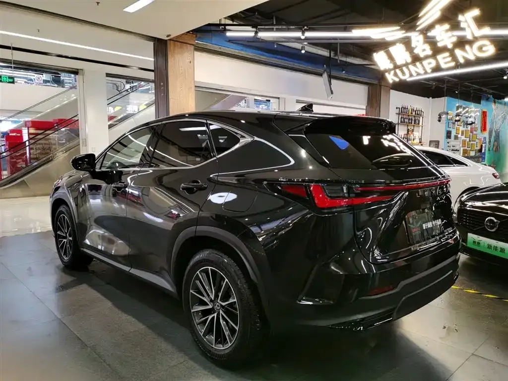 Lexus NX — фото 6