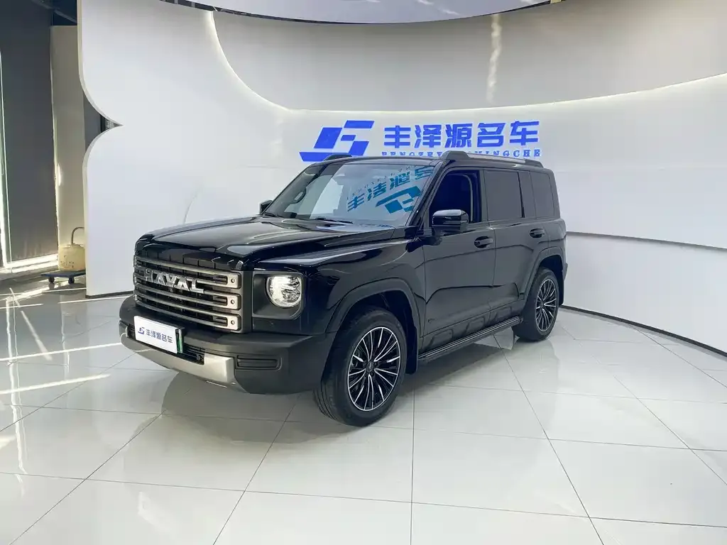 Haval Menglong New Energy — фото 1