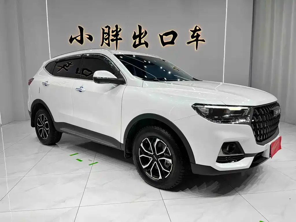 Haval H6 — фото 5