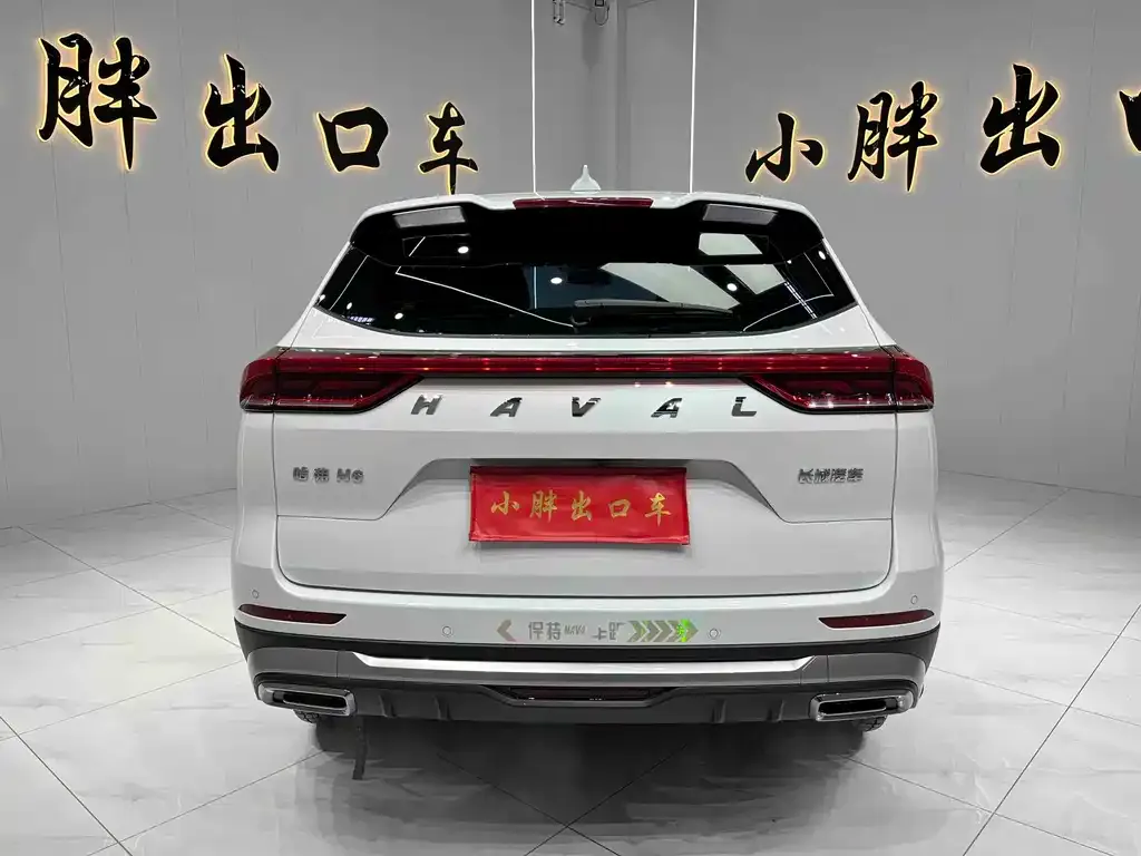 Haval H6 — фото 7