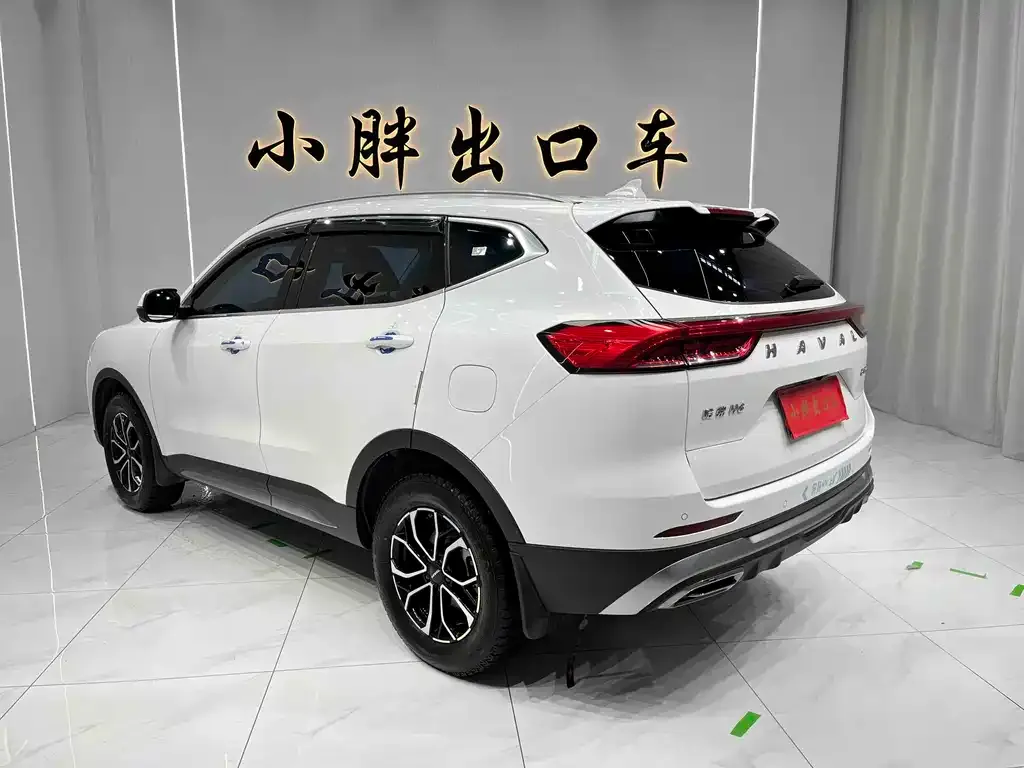 Haval H6 — фото 10