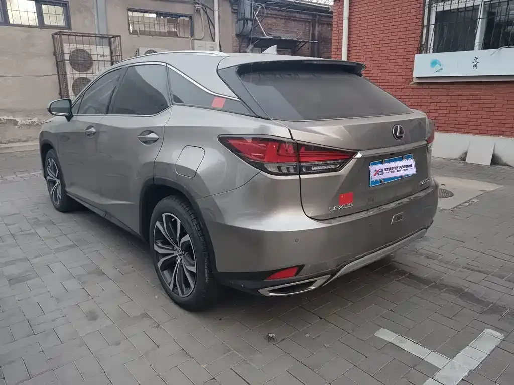 Lexus RX — фото 10