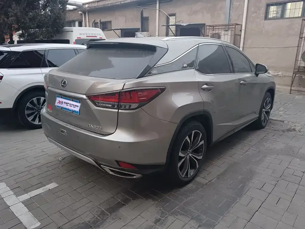 Lexus RX — фото 9
