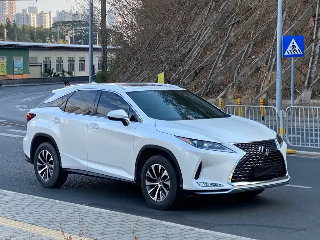 Lexus RX — фото 10