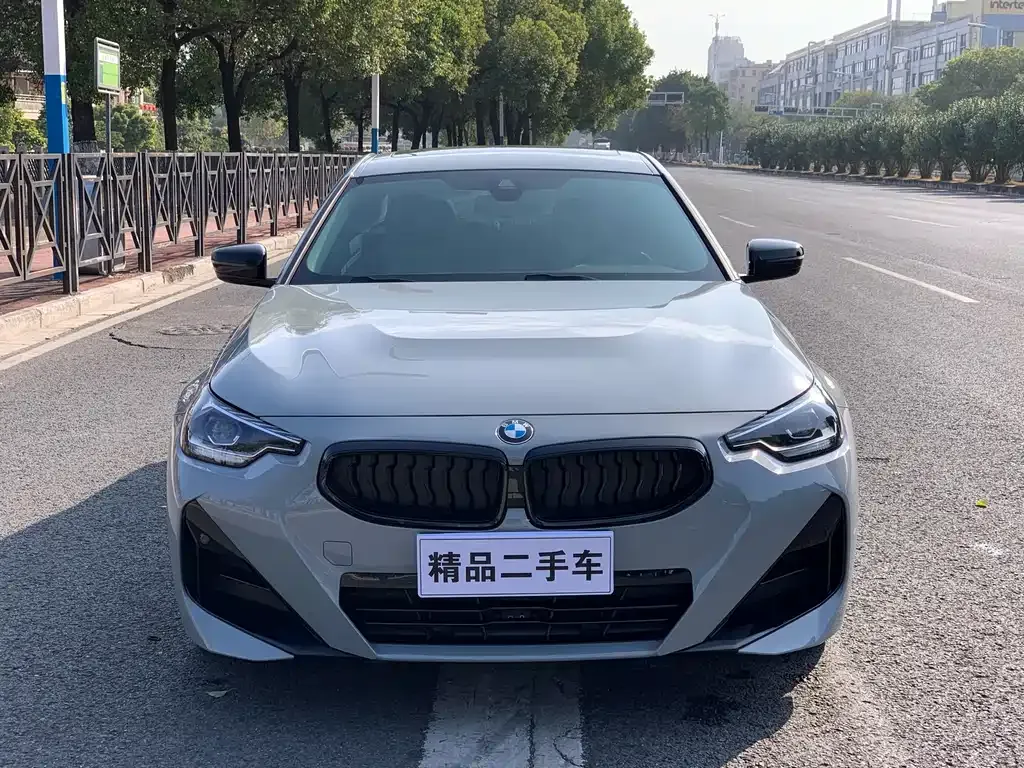 BMW 2 Series (Import) — фото 1