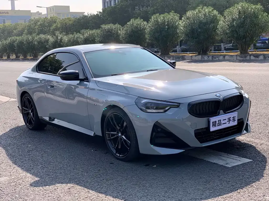 BMW 2 Series (Import) — фото 9