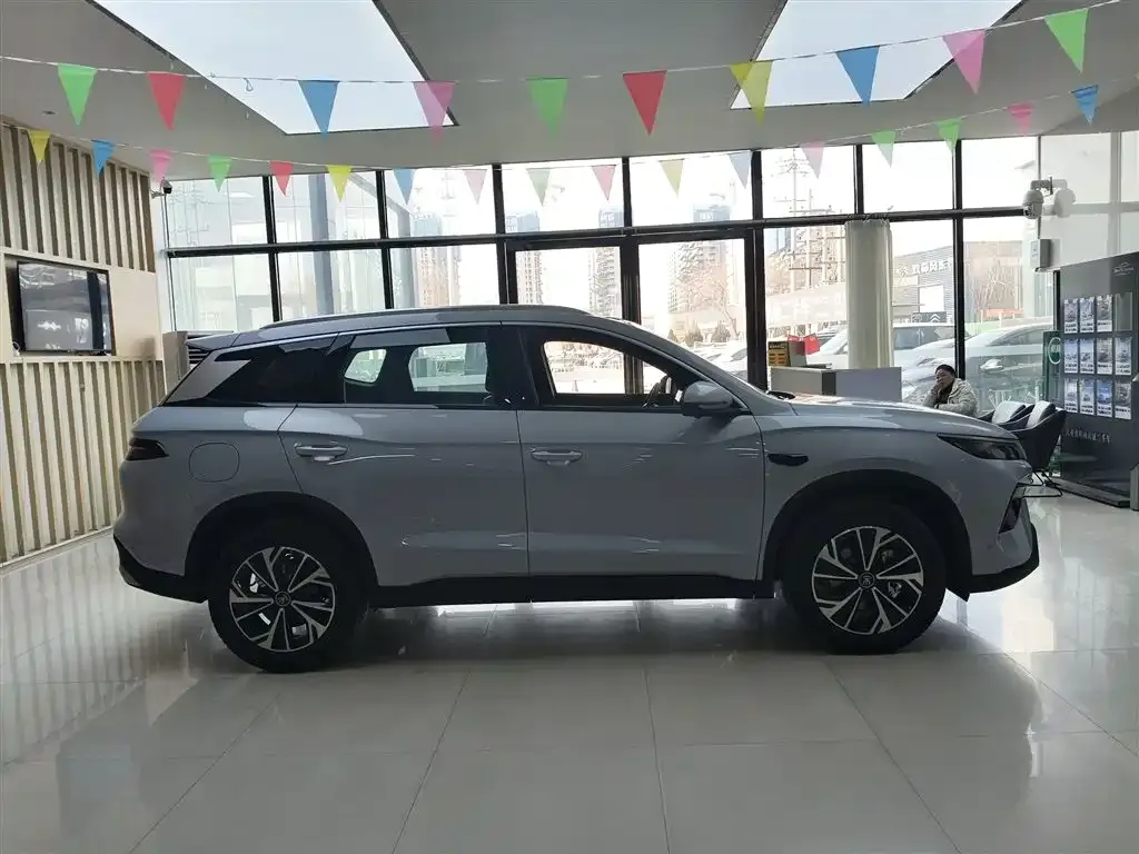 BYD Pro New Energy — фото 5
