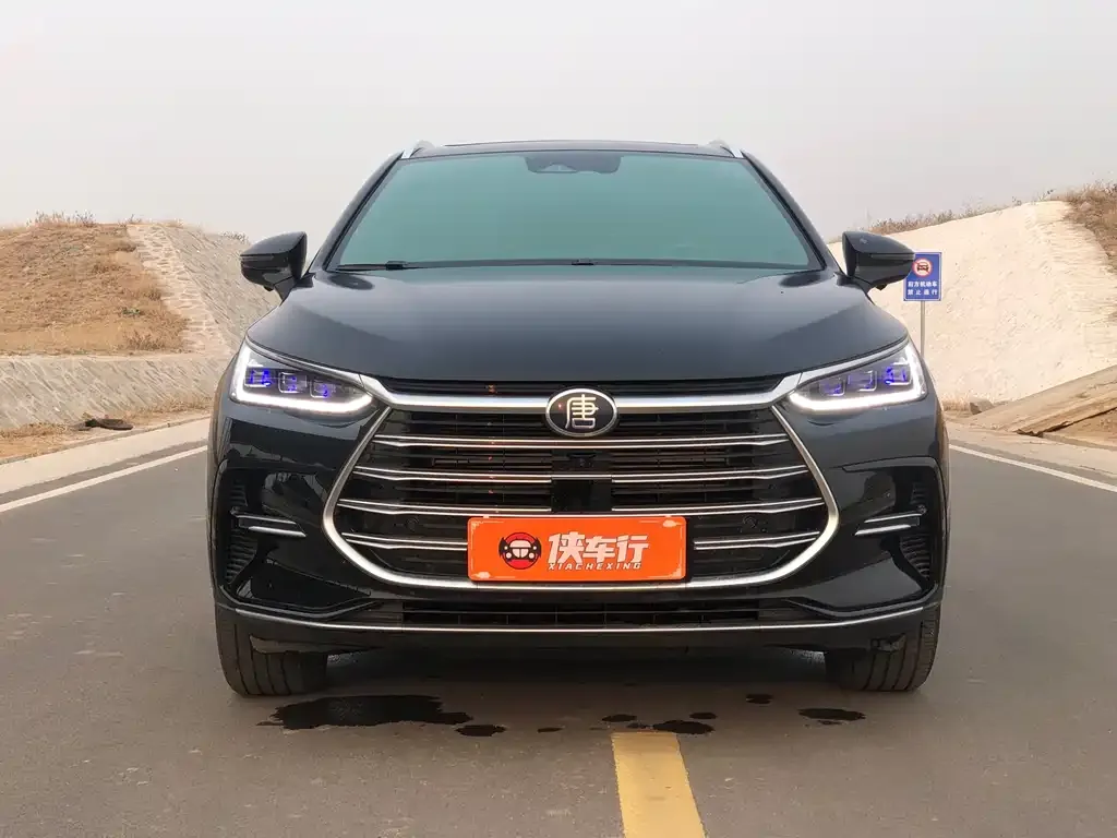 BYD Tang New Energy — фото 10