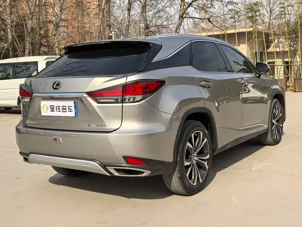 Lexus RX — фото 9