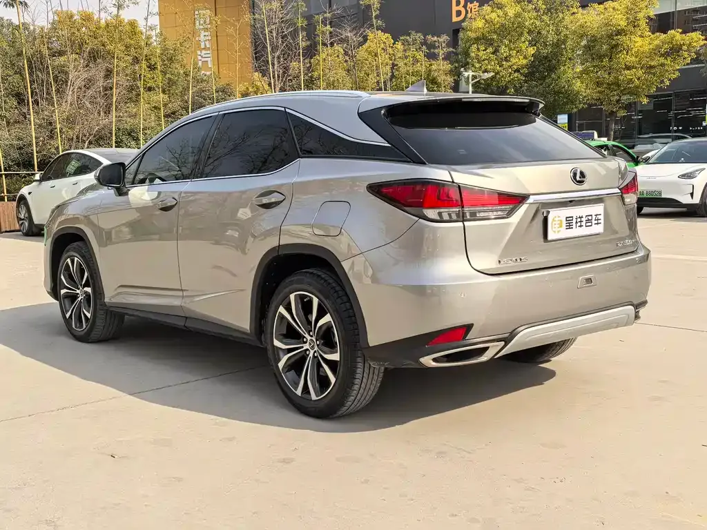 Lexus RX — фото 8