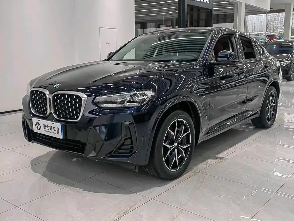 BMW X4 — фото 1