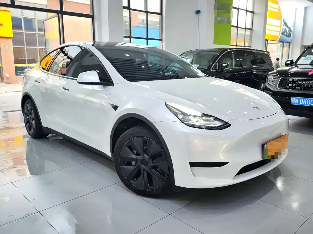 Tesla Model Y — фото 10