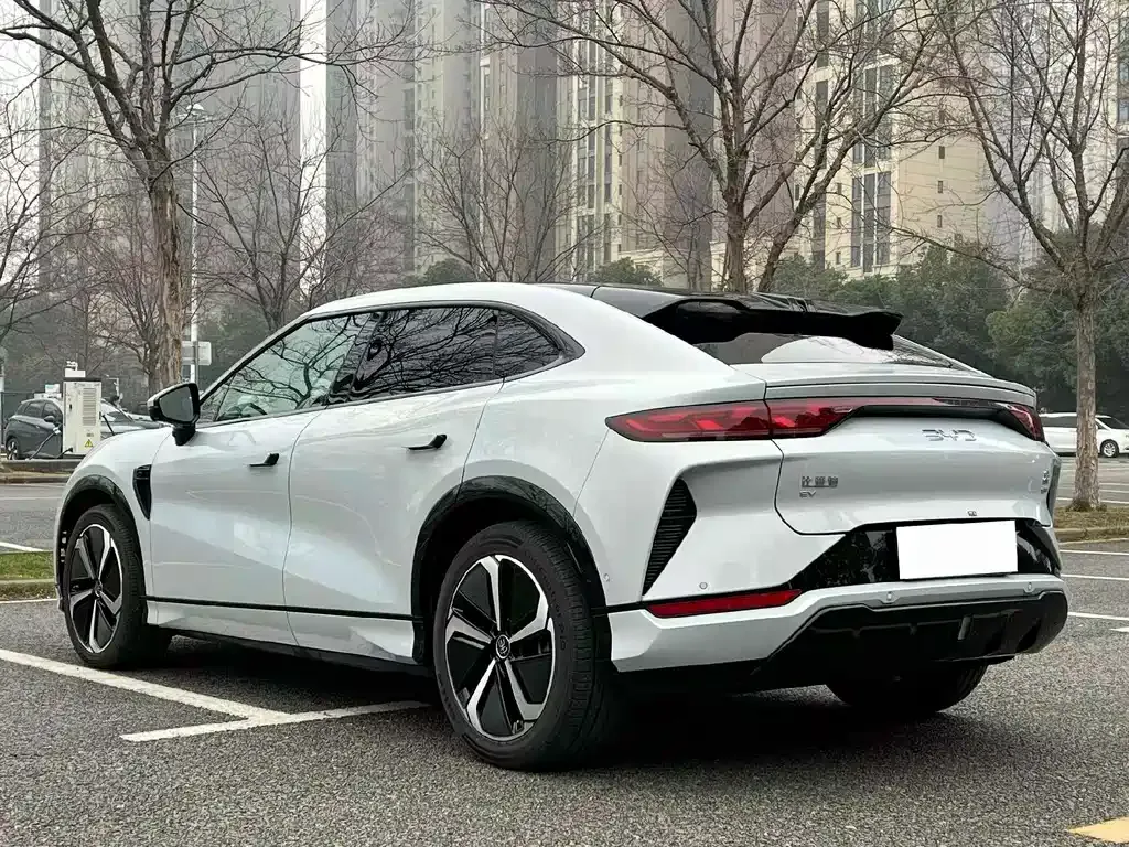 BYD L EV — фото 9