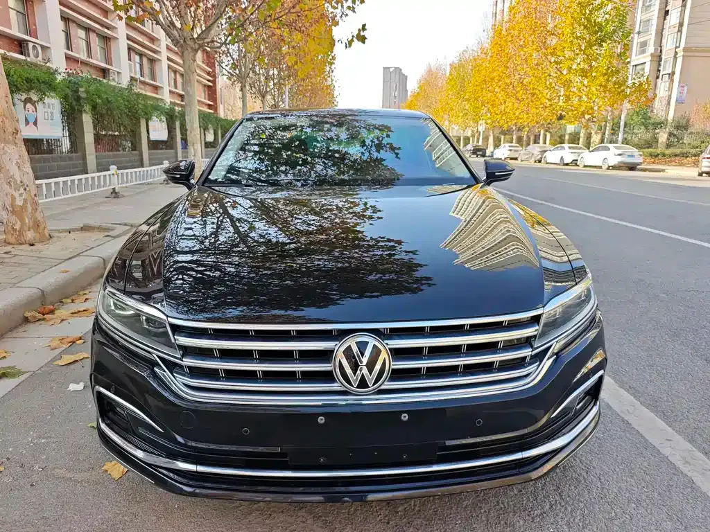Volkswagen Phideon — фото 9