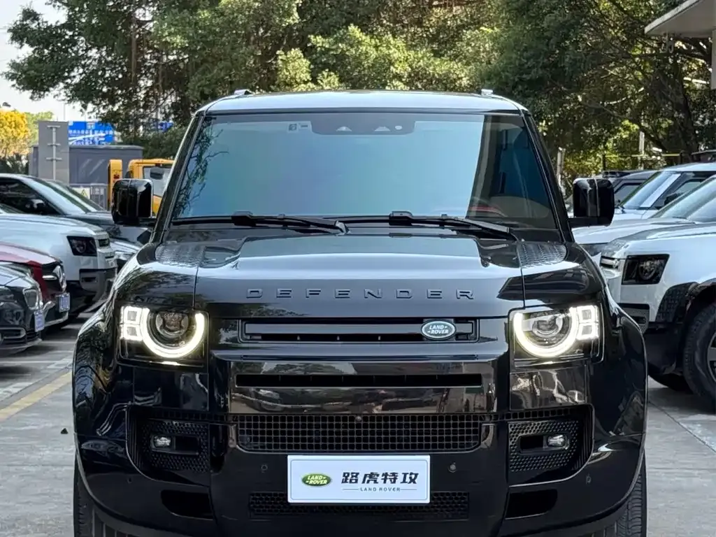 Land Rover Defender — фото 8