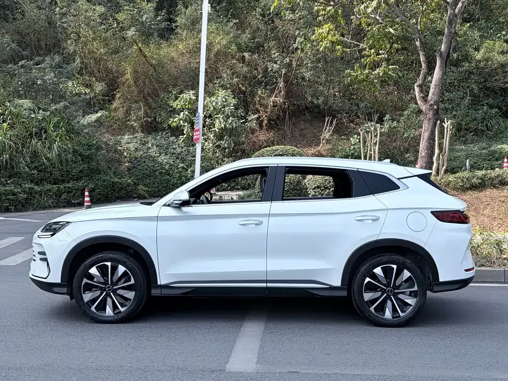 BYD PLUS New Energy — фото 8