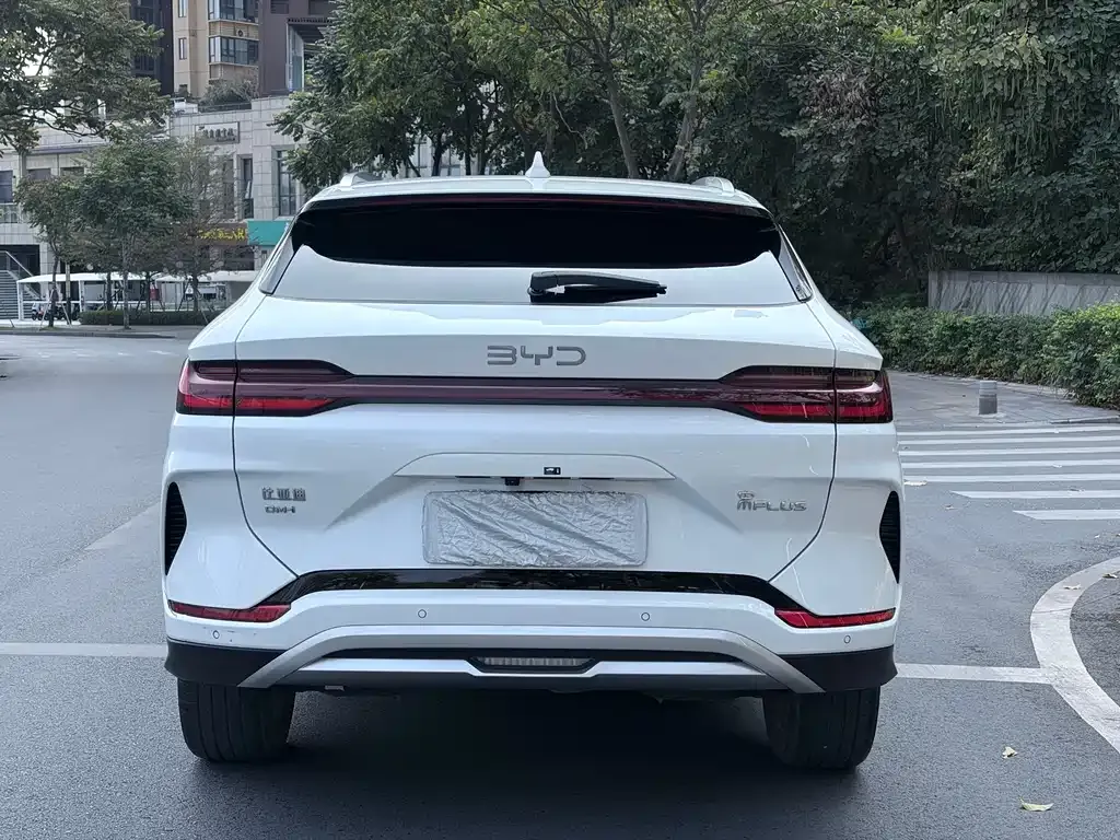 BYD PLUS New Energy — фото 4