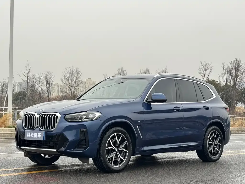 BMW X3 — фото 1