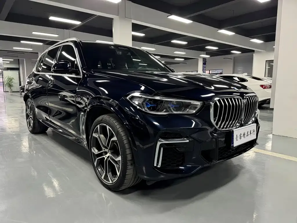 BMW X5 — фото 1