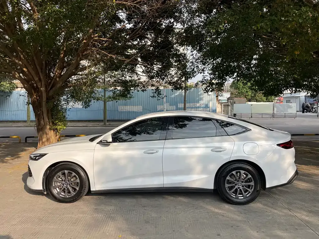 BYD Qin L — фото 10