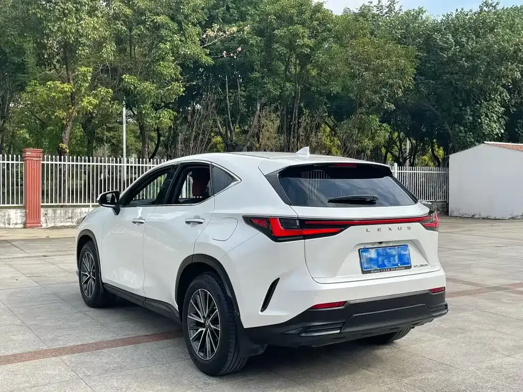 Lexus NX — фото 9