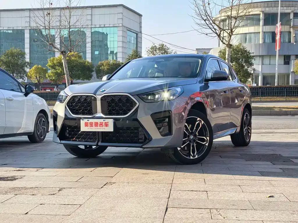 BMW X2 (Import) — фото 1
