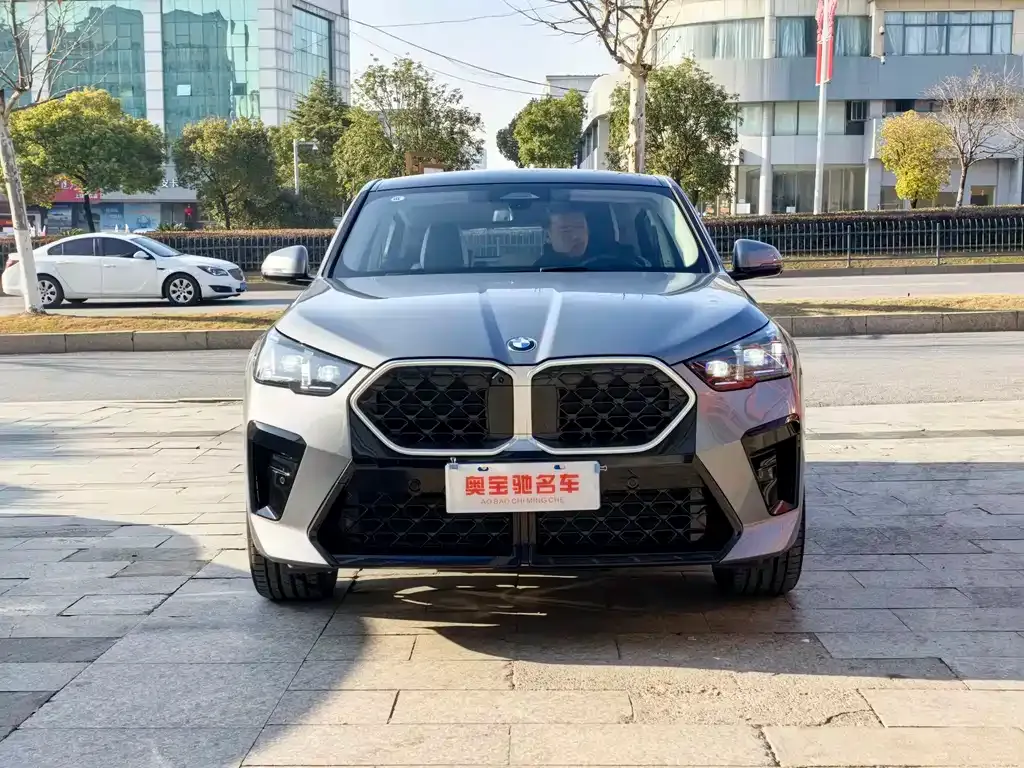 BMW X2 (Import) — фото 10