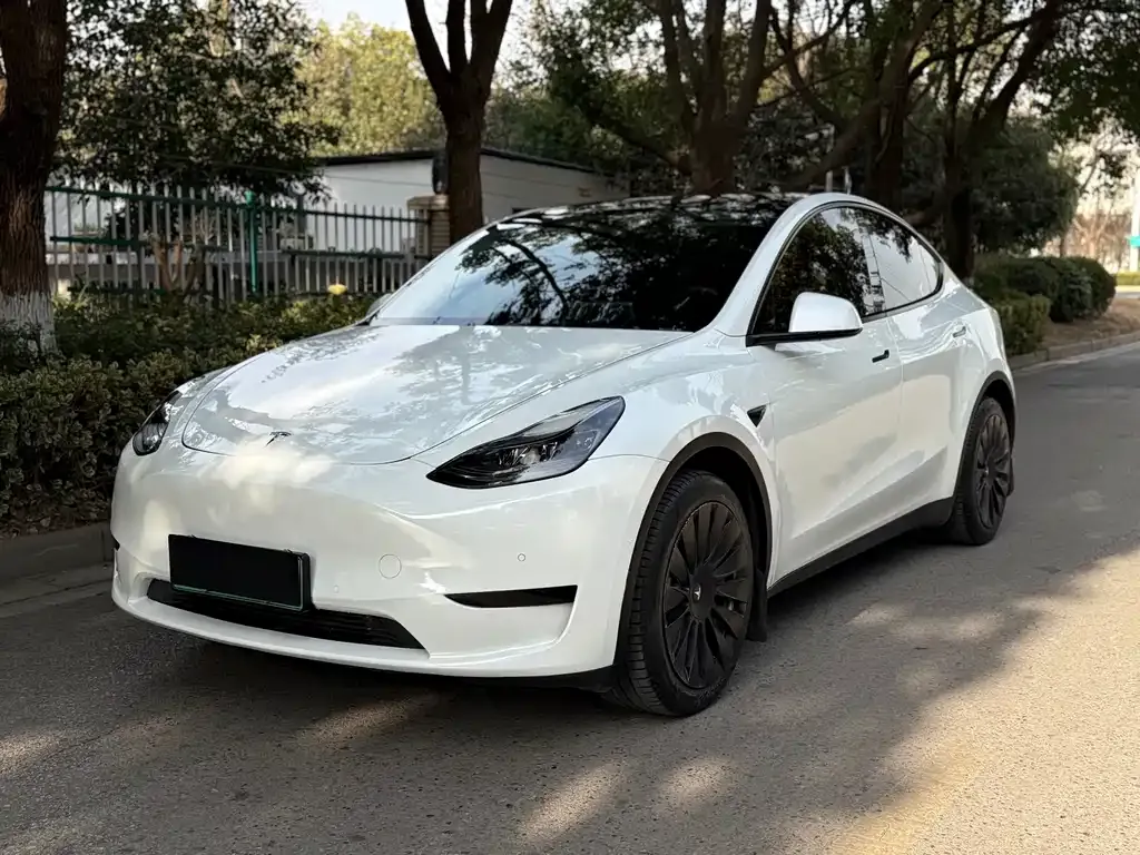 Tesla Model Y — фото 1