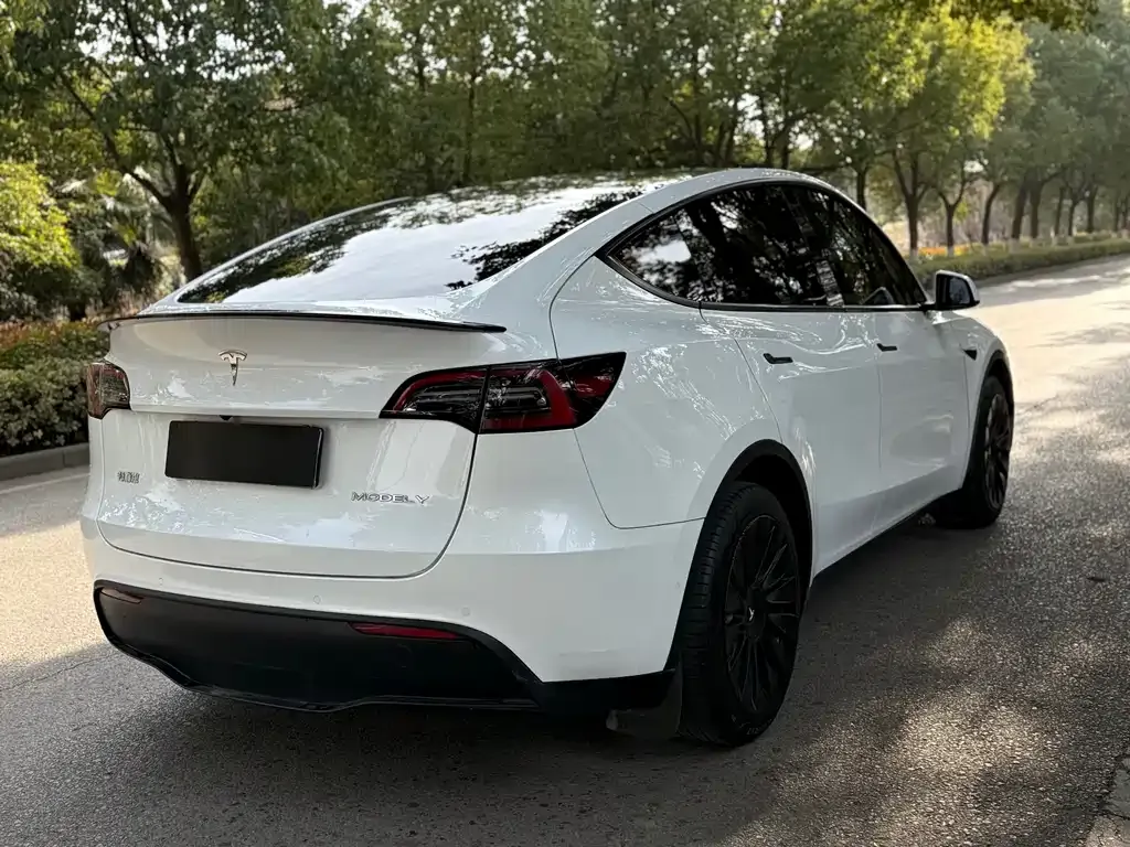 Tesla Model Y — фото 2