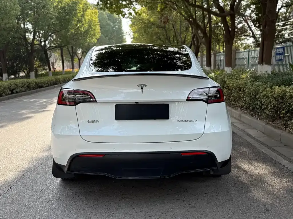 Tesla Model Y — фото 4