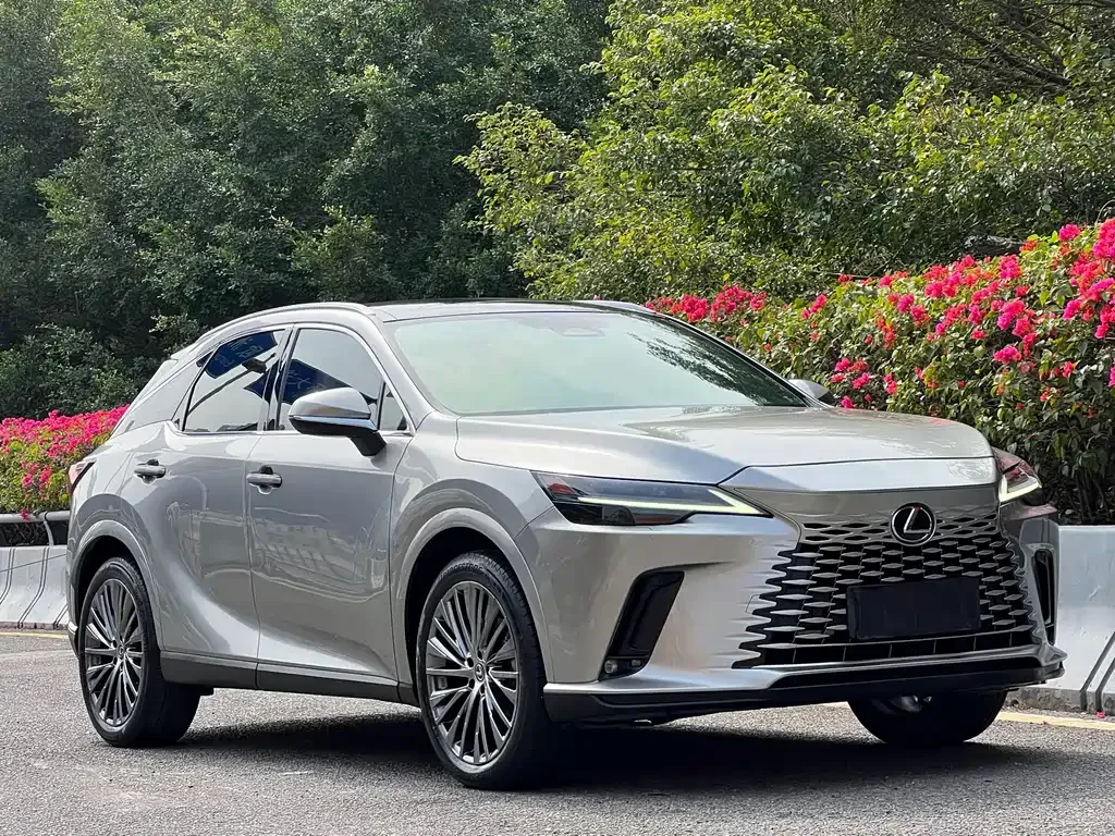 Lexus RX — фото 6
