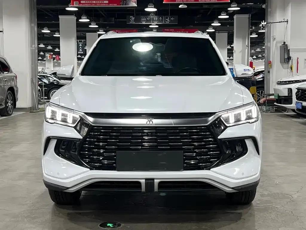 BYD Pro New Energy — фото 1