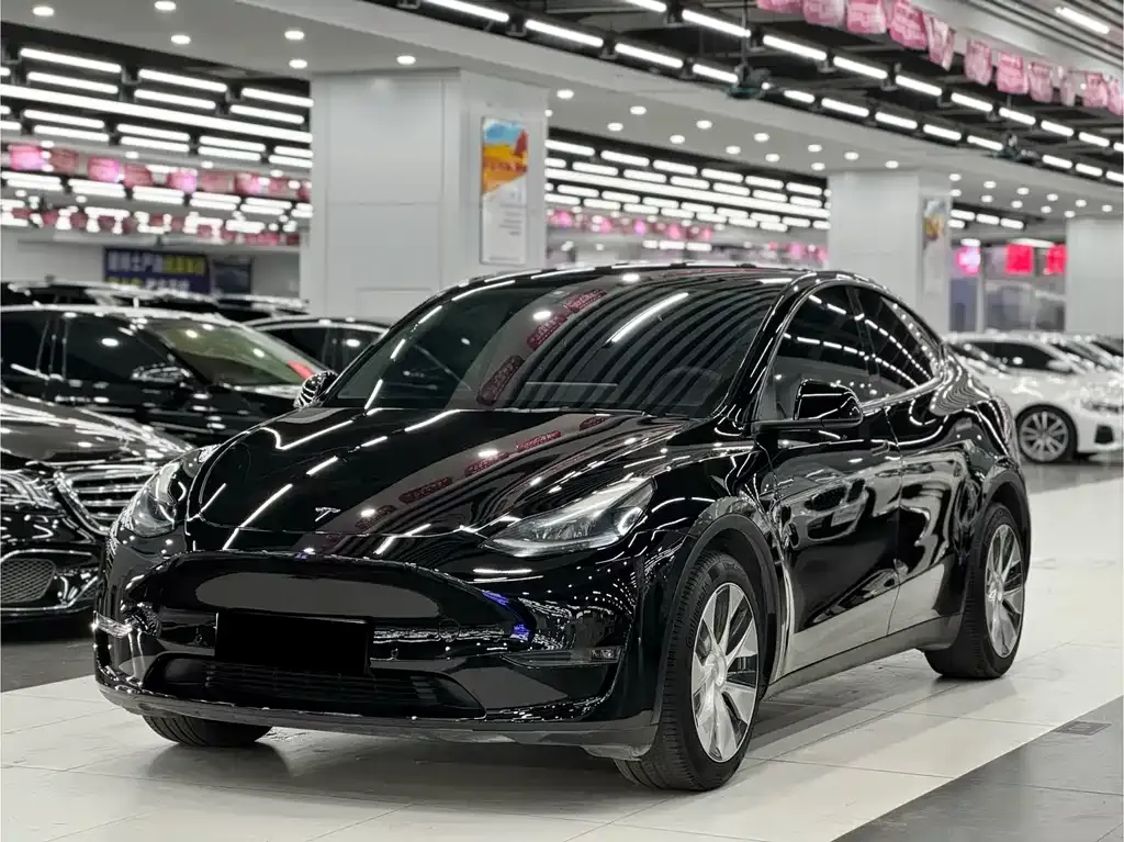 Tesla Model Y — фото 1