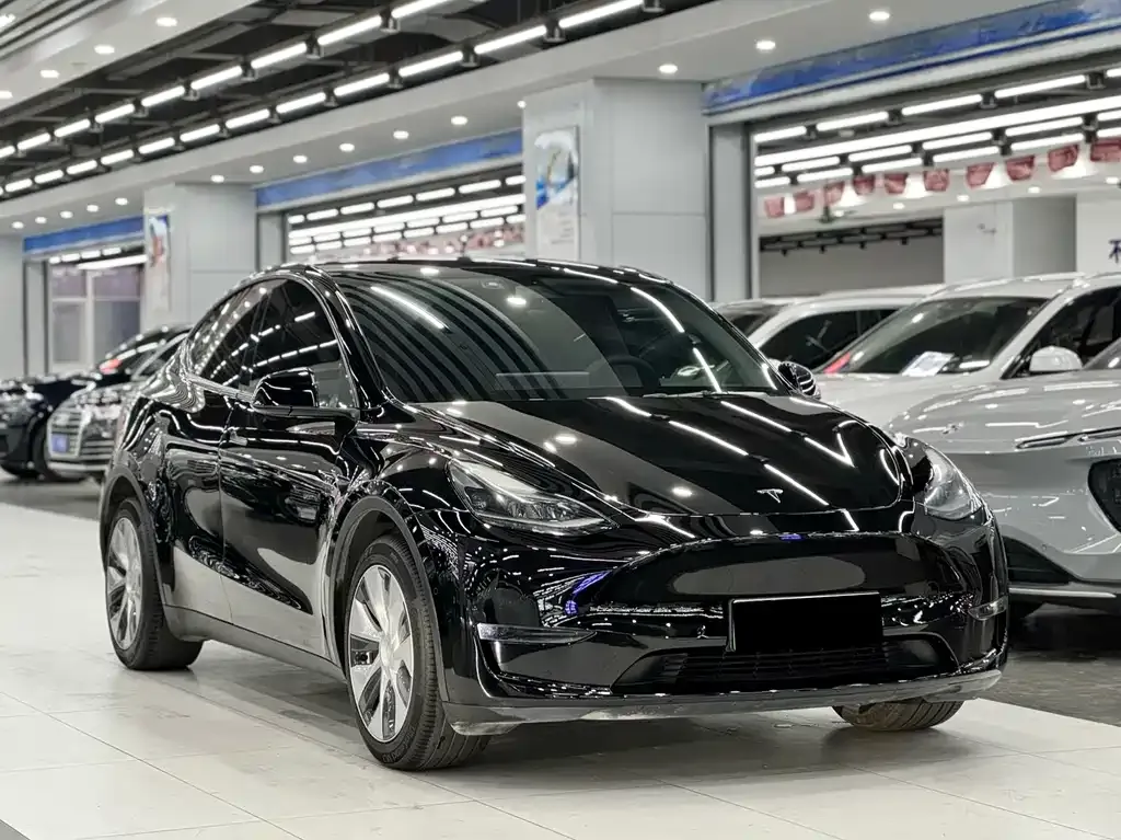 Tesla Model Y — фото 10