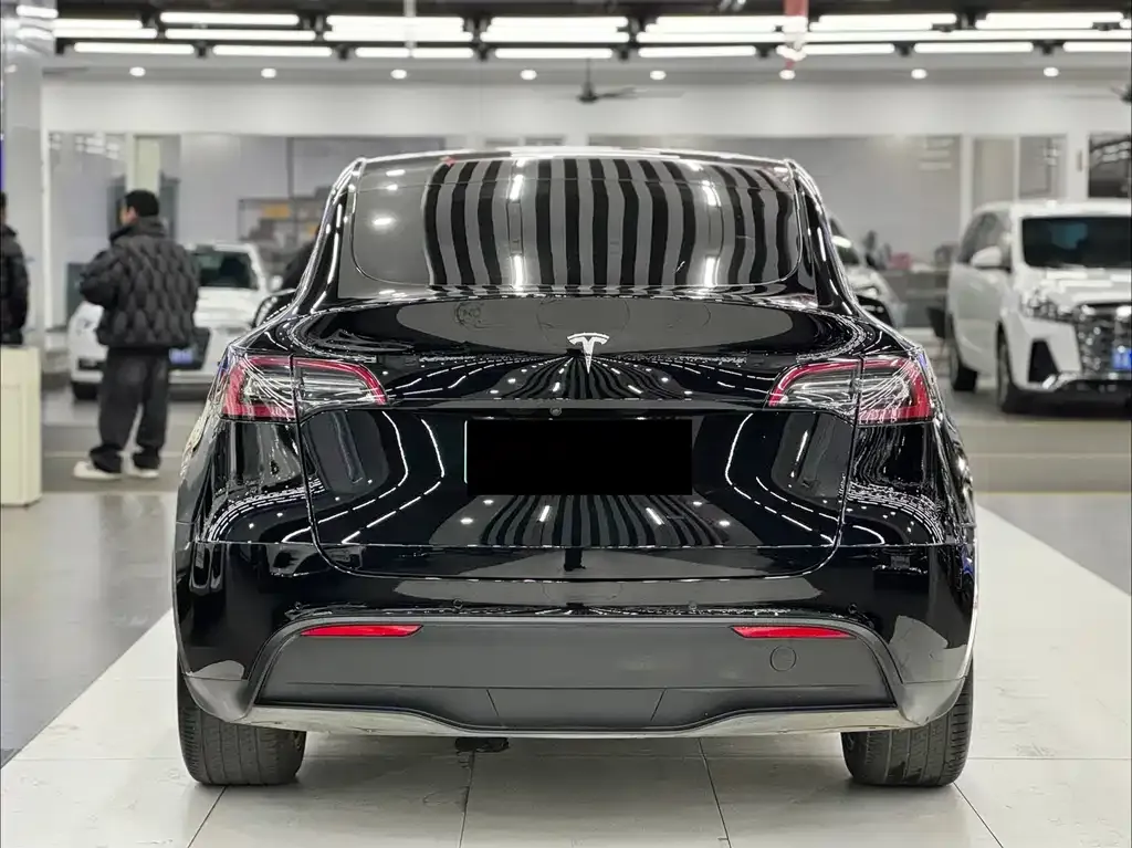 Tesla Model Y — фото 2