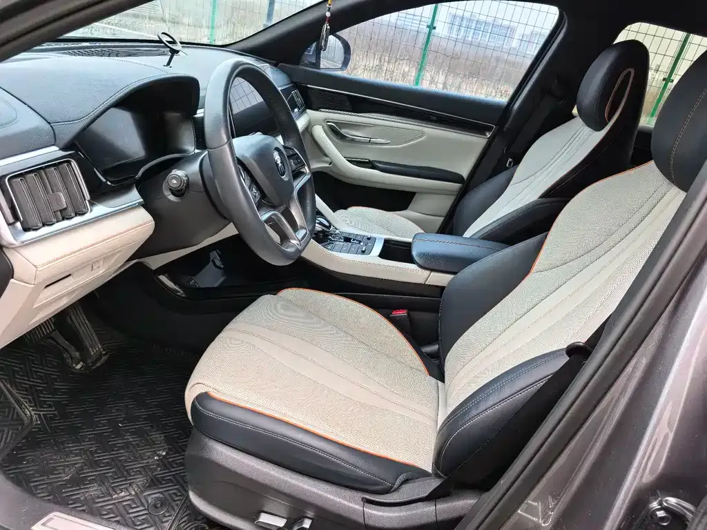 BYD PLUS New Energy — фото 4