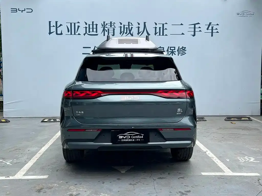 BYD Tang L — фото 6