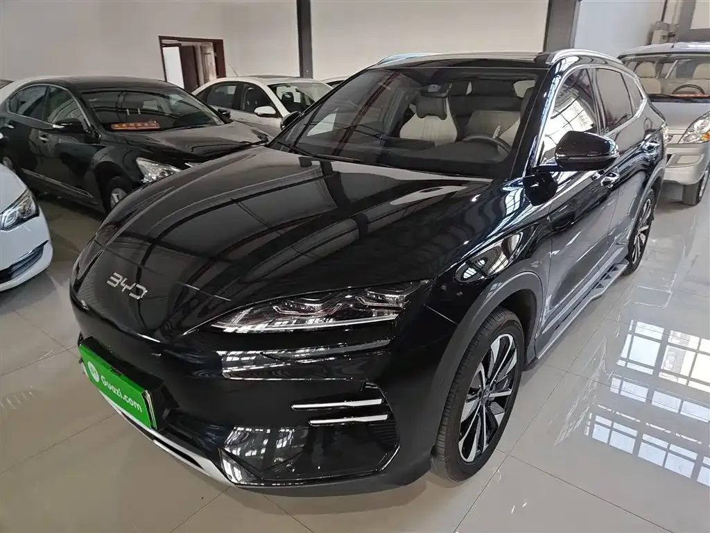 BYD PLUS New Energy — фото 1
