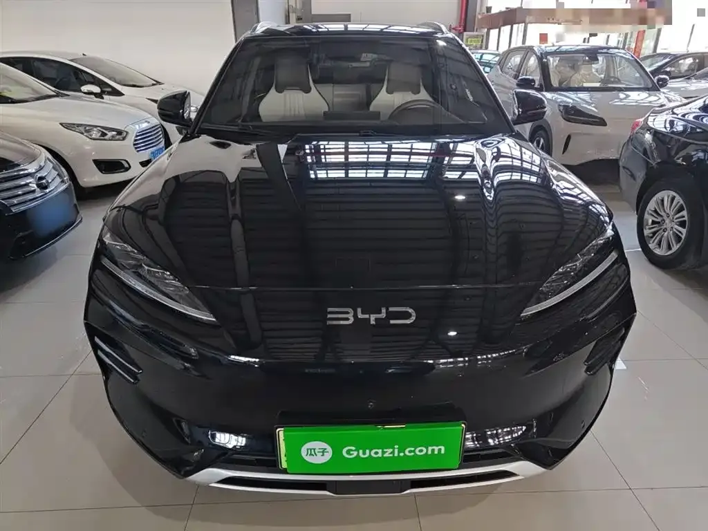 BYD PLUS New Energy — фото 8