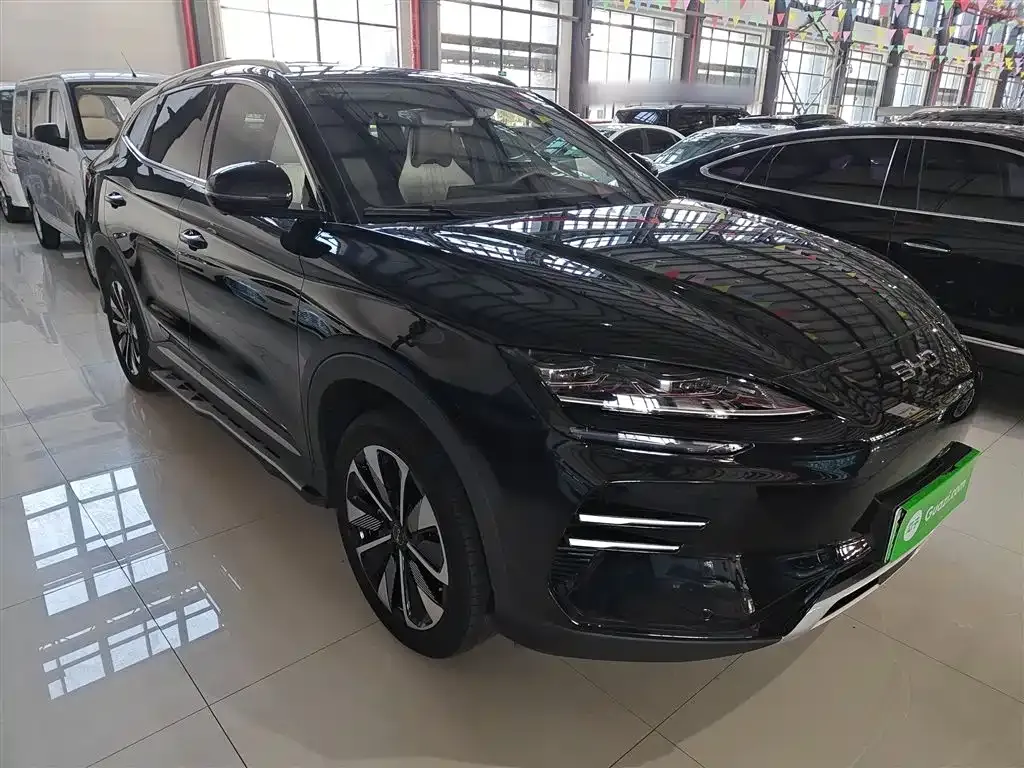 BYD PLUS New Energy — фото 10