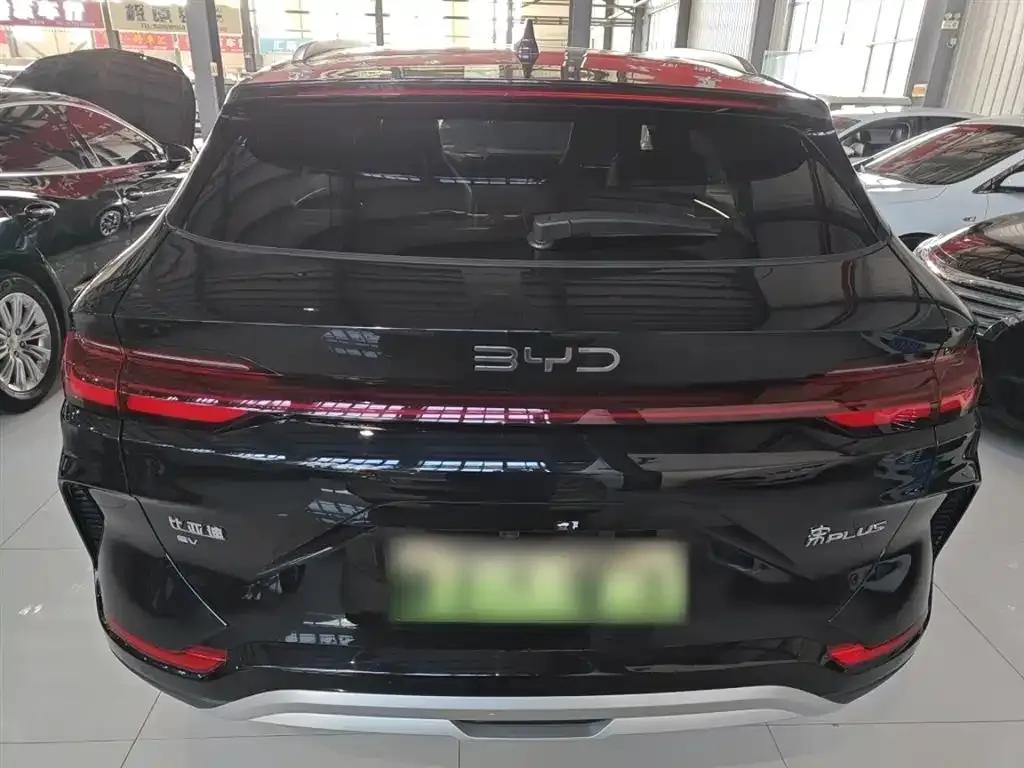 BYD PLUS New Energy — фото 4