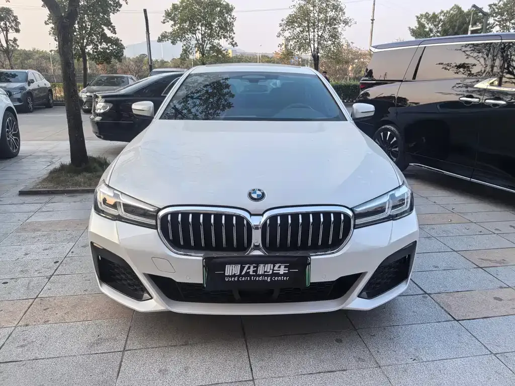 BMW 5 Series New Energy — фото 3
