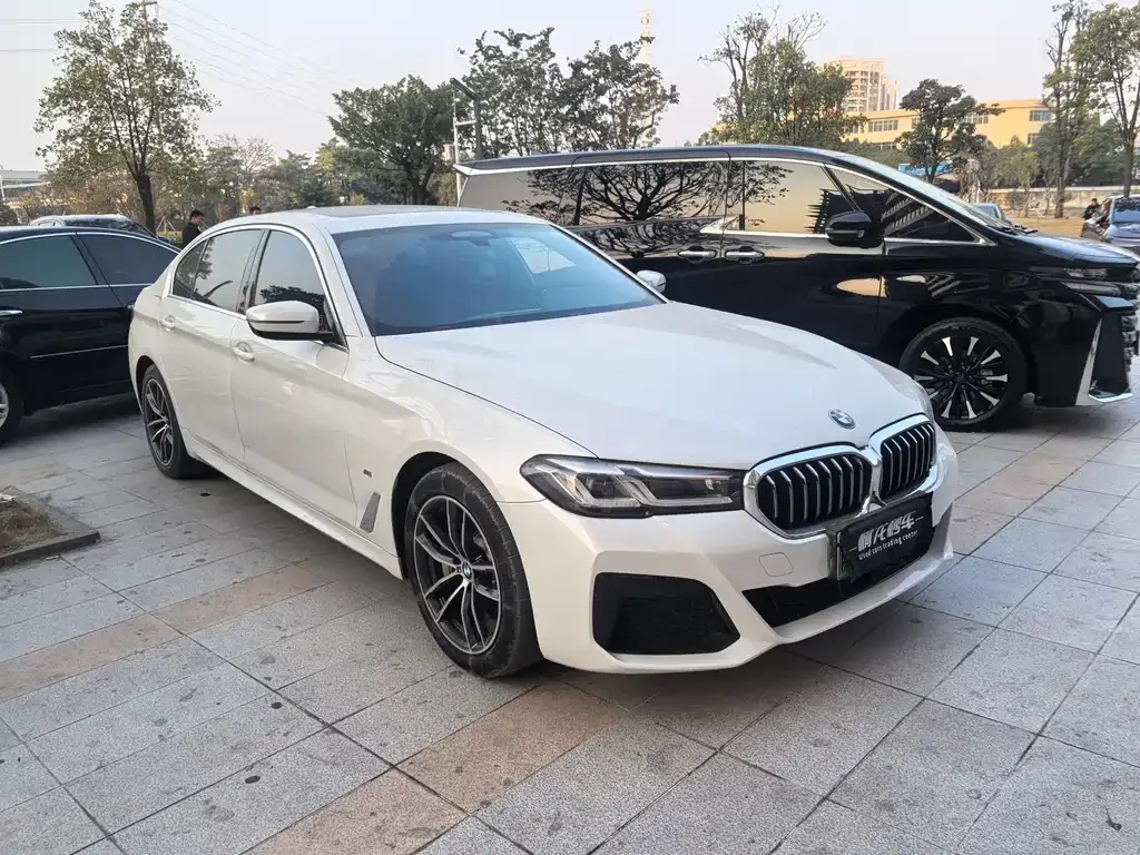 BMW 5 Series New Energy — фото 5