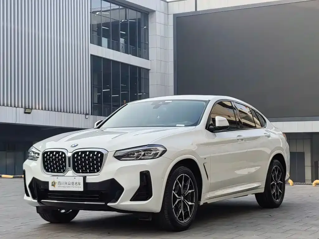 BMW X4 — фото 6