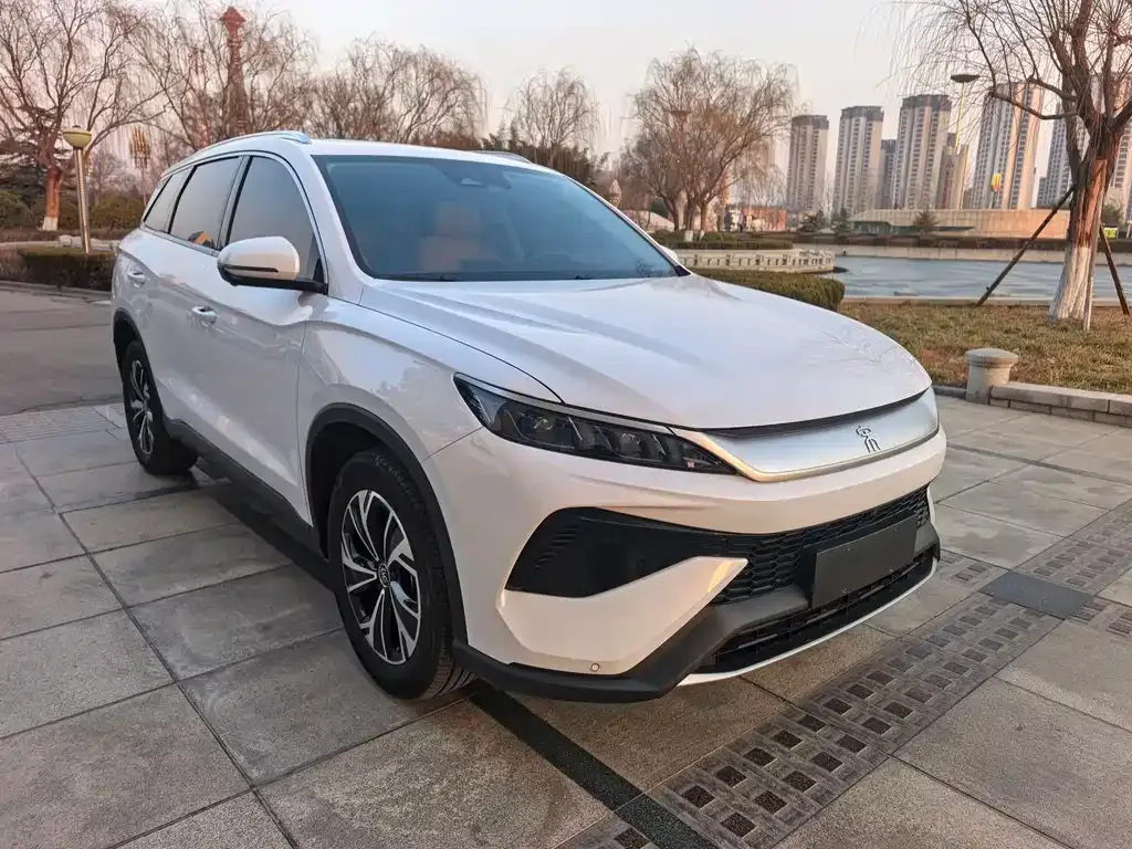 BYD Pro New Energy — фото 6