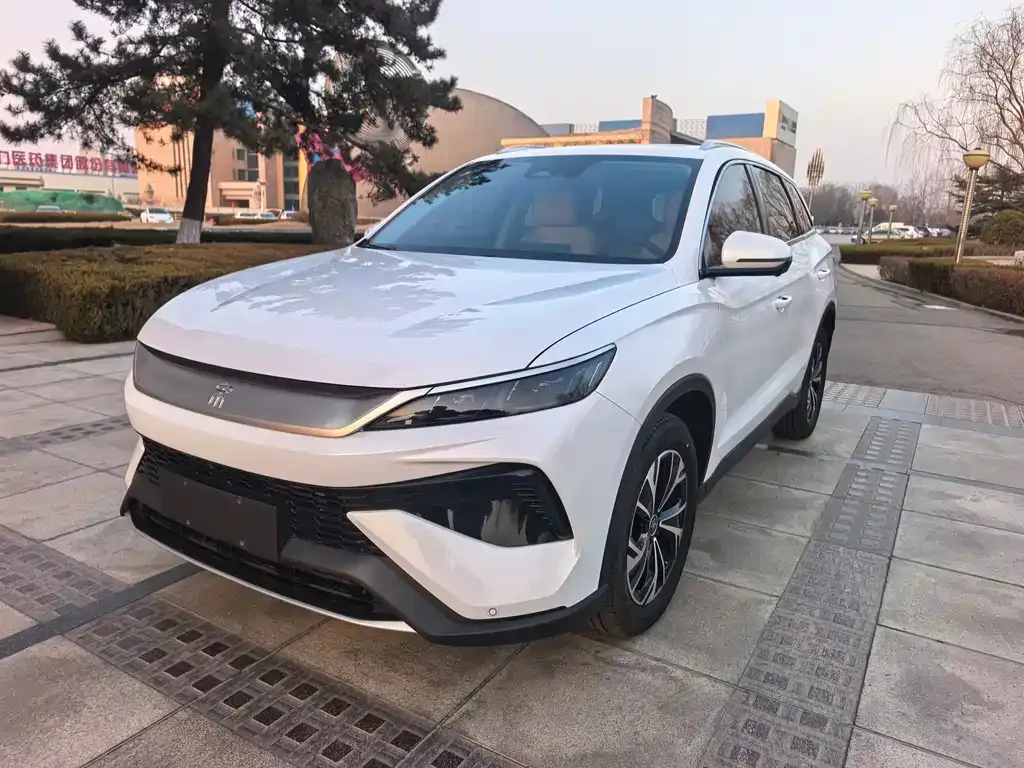 BYD Pro New Energy — фото 8