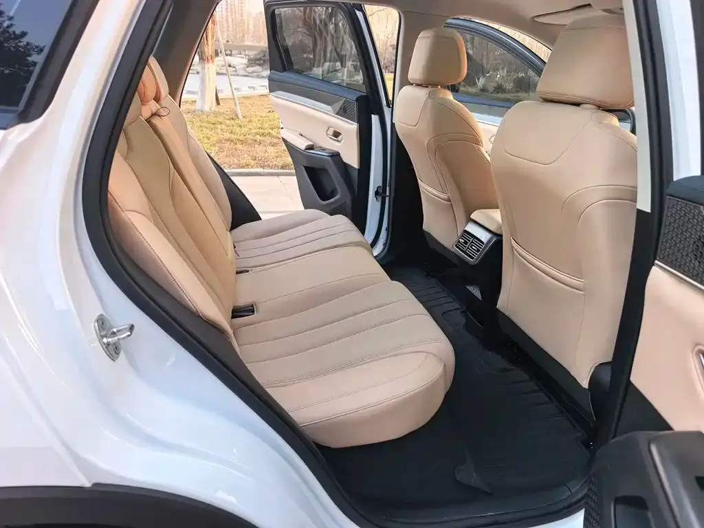 BYD Pro New Energy — фото 2